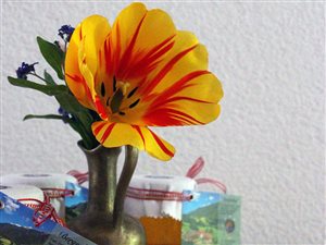 Marmellate fatte in casa