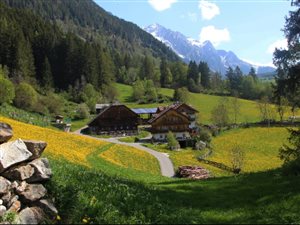 Bergerhof im Frühling