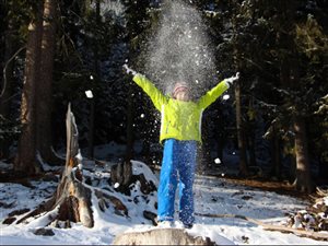 Playing in the fresh snow