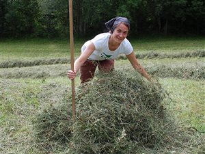 Working on the fields