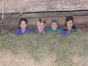 Laying in the hay 